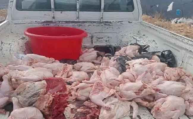 إتلاف أزيد من 142 كلغ من المواد فاسدة بثنية الحد بتيسمسيلت