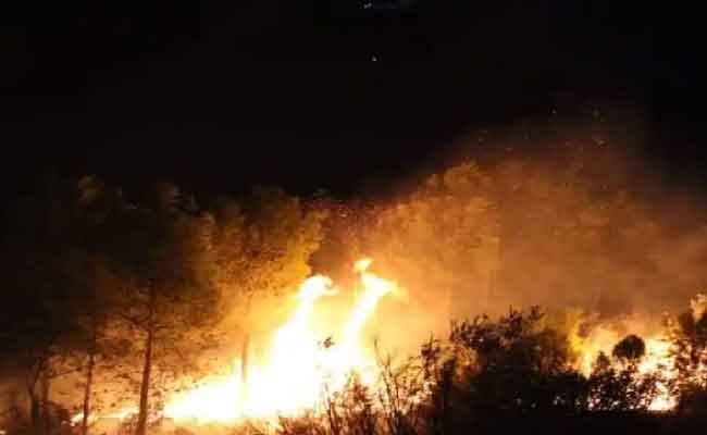 اندلاع 55 حريق غابات وأدغال وأحراش في عديد الولايات