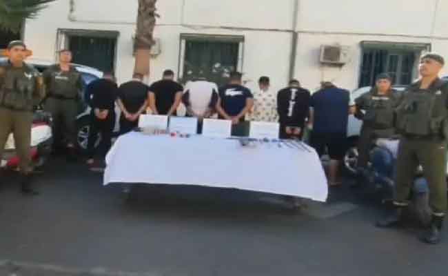 تفكيك عصابتي أحياء تستعمل الكلاب المدربة في اعتداءاتها بالبليدة